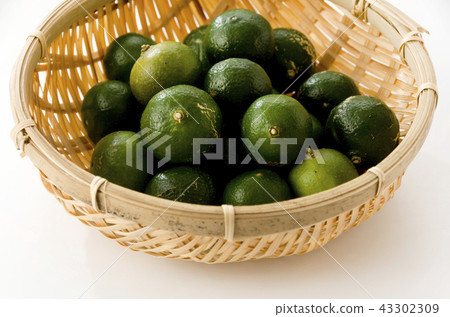 扁實檸檬 扁實檸檬 43302309