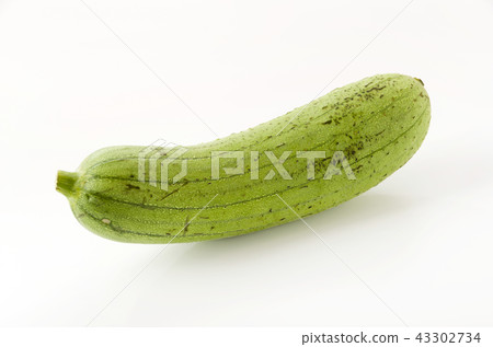 Loofah Loofah 43302734