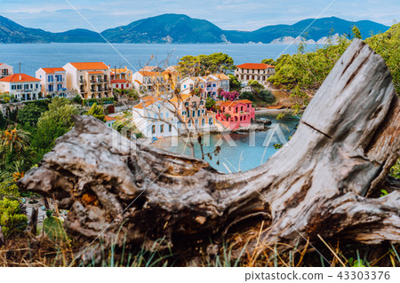 Assos village in Kefalonia, Greece. Calm blue bay water and colored traditional houses. Old snag in Assos village in Kefalonia, Greece. Calm blue bay water and colored traditional houses. Old snag in 43303376