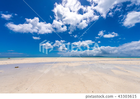 竹富島Kondoi海灘(只有在退潮時出現的海灘) 竹富島Kondoi海灘(只有在退潮時出現的海灘) 43303615