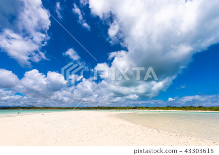 竹富島Kondoi海灘(只有在退潮時出現的海灘) 竹富島Kondoi海灘(只有在退潮時出現的海灘) 43303618