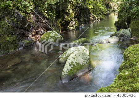A gentle flow of the Toho River A gentle flow of the Toho River 43306426