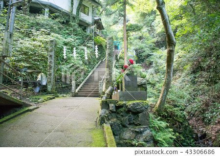 高尾山 Jataki Course（Jataki Course） 沿著山路 Jataki Mizugyo Dojo 43306686