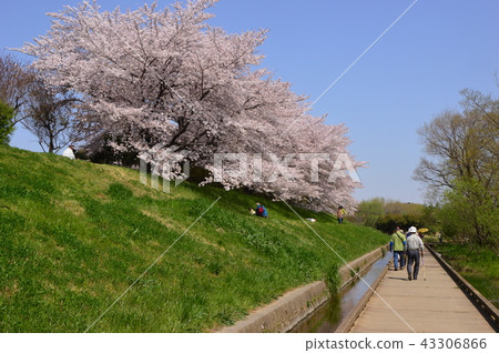 The spring of Kanayama Ryokuchi Park is Kiyose City 43306866