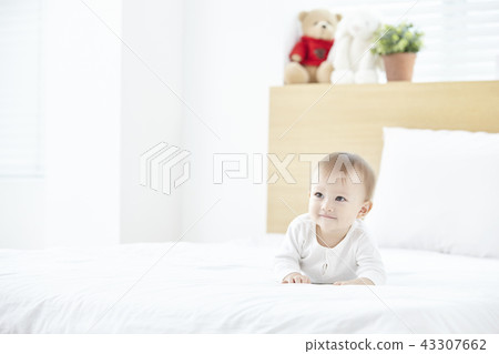 Infant, baby, baby 43307662