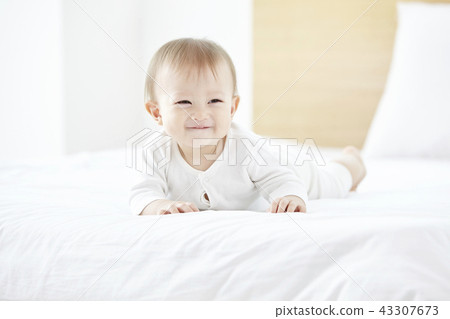 嬰兒，嬰兒，寶寶 43307673