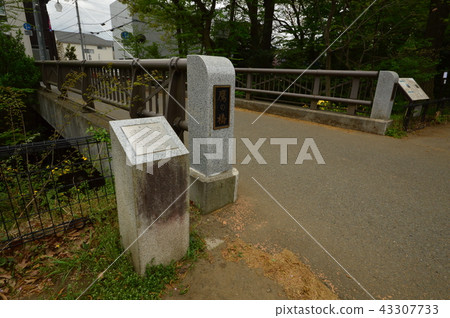 Spring in Tamagawa Josui is Kodaira City Spring in Tamagawa Josui is Kodaira City 43307733
