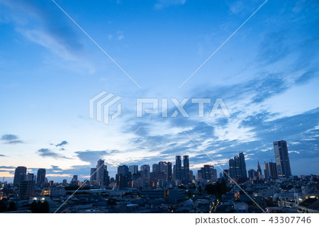[新宿，高層建築]清晨 43307746