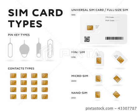 SIM card types infographics in flat style SIM card types infographics in flat style 43307787