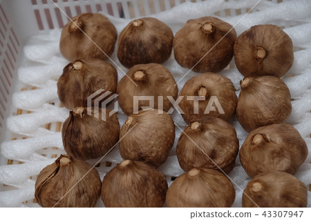 黑蒜 黑蒜 43307947