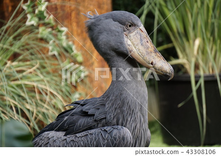 Side view Side view 43308106