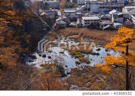 Nikko-shi, Tochigi Yumoto Onsen hot spring source of wet spring (November) 43308332