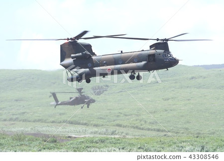CH-47J Chinook地面自衛隊直升機運輸直升機也在東部富士培訓中心徘徊。 43308546