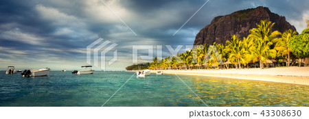 Le Morn Brabant at sunset. landscape. Panorama 43308630