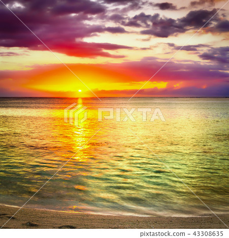Seaview at sunset. Amazing landscape 43308635