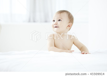 Infant, baby, baby 43309914