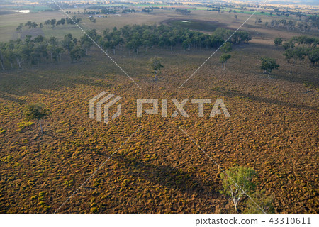 Australia balloon Australia balloon 43310611