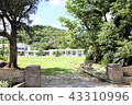 Iriomote Island Funui Elementary School Funuiri Junior High School 43310996