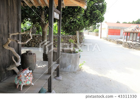 Taketomijima Shisa 43311330