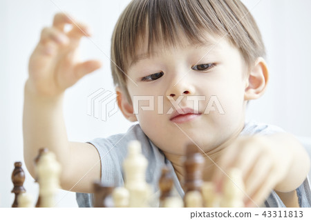 Chess, Game, Infant, Child Chess, Game, Infant, Child 43311813