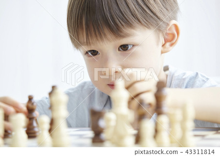 Chess, Game, Infant, Child Chess, Game, Infant, Child 43311814