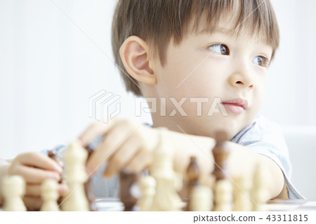 Chess, Game, Infant, Child Chess, Game, Infant, Child 43311815