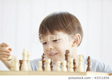 象棋，遊戲，嬰兒，兒童 43311856