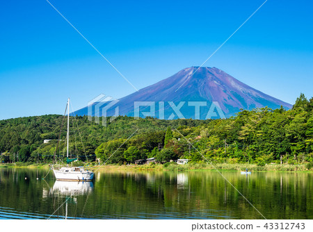 Fuji seen from the shore of Lake Yamanaka 43312743