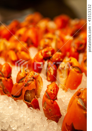Claws of fresh, juicy and tasty poached mud crab. 43313132