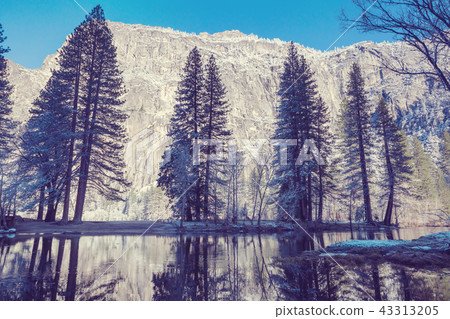 Early spring in Yosemite 43313205