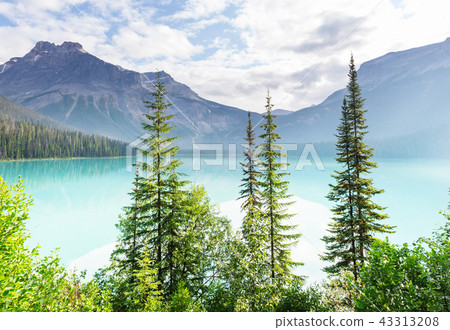 Emerald lake Emerald lake 43313208