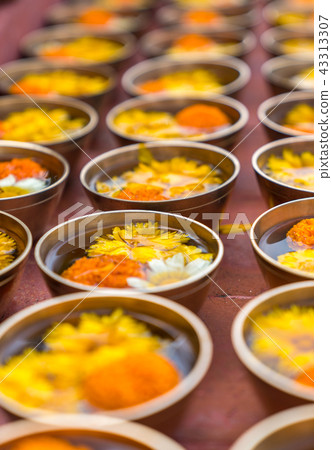 Buddhist flower offerings or gifts in bowls  43313307