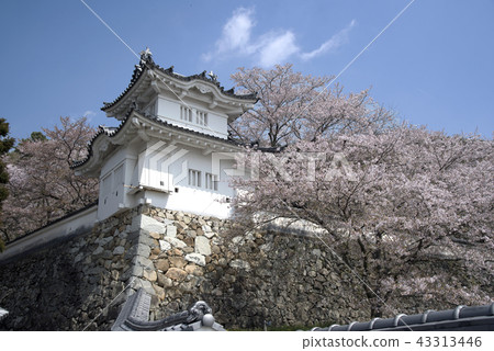 Tatsuno Castle Corner 43313446