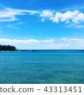 沖繩島 43313451