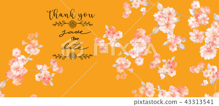 優雅的水彩玫瑰花花卉集合 43313541