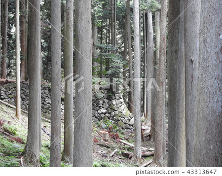 細峠 細峠 43313647