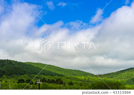 Mineyama Kogen Resort White Peak（兵庫縣上崎郡神川町神田田市）*圖片位於註釋部分 43313994