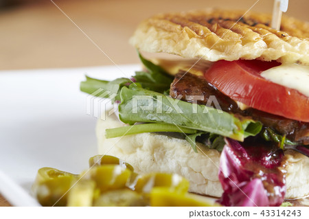 帕尼尼 帕尼尼 43314243