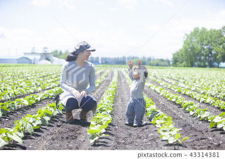 Family gardening with parents 43314381