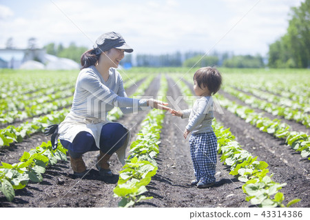 Family gardening with parents Family gardening with parents 43314386