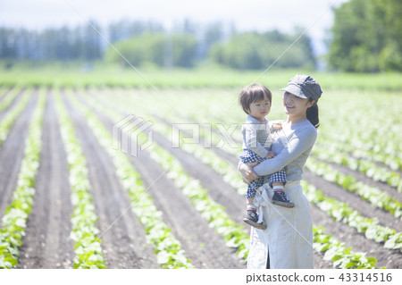 Family parent and child 43314516