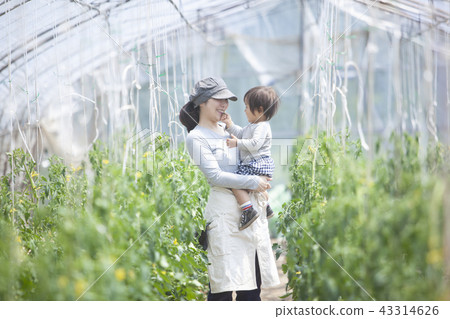 Family gardening with parents 43314626