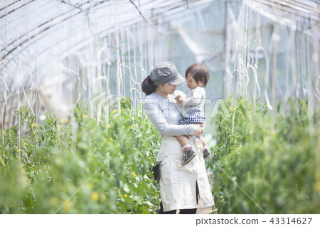 家庭園藝與父母 43314627
