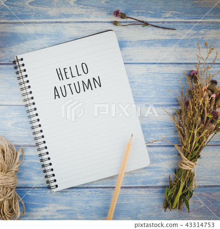 Notebook with pencil and autumn flowers Notebook with pencil and autumn flowers 43314753
