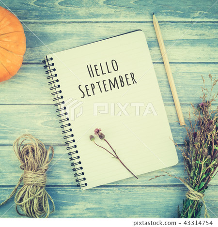 Notebook with pencil and autumn pumpkins Notebook with pencil and autumn pumpkins 43314754