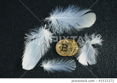 比特幣金幣虛擬貨幣金羽毛 比特幣金幣虛擬貨幣金羽毛 43315272