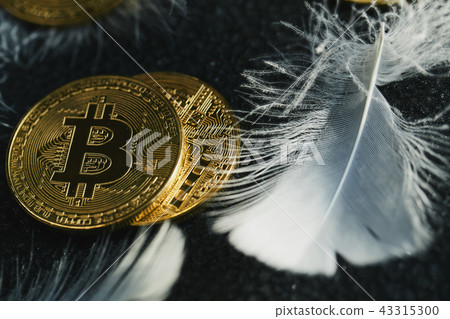 比特幣金幣虛擬貨幣金羽毛 比特幣金幣虛擬貨幣金羽毛 43315300