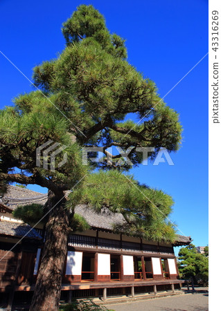 Kakegawa Castle, Ninomaru Palace 43316269