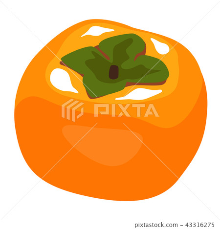  Illustration of autumnal seasonal fruits and persimmons 43316275