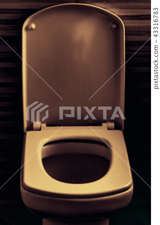 Close-up flush toilet bowl in lavatory, sepia 43316783